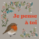 Je pense &agrave; toi, un oiseau charmant pour dire bonjour